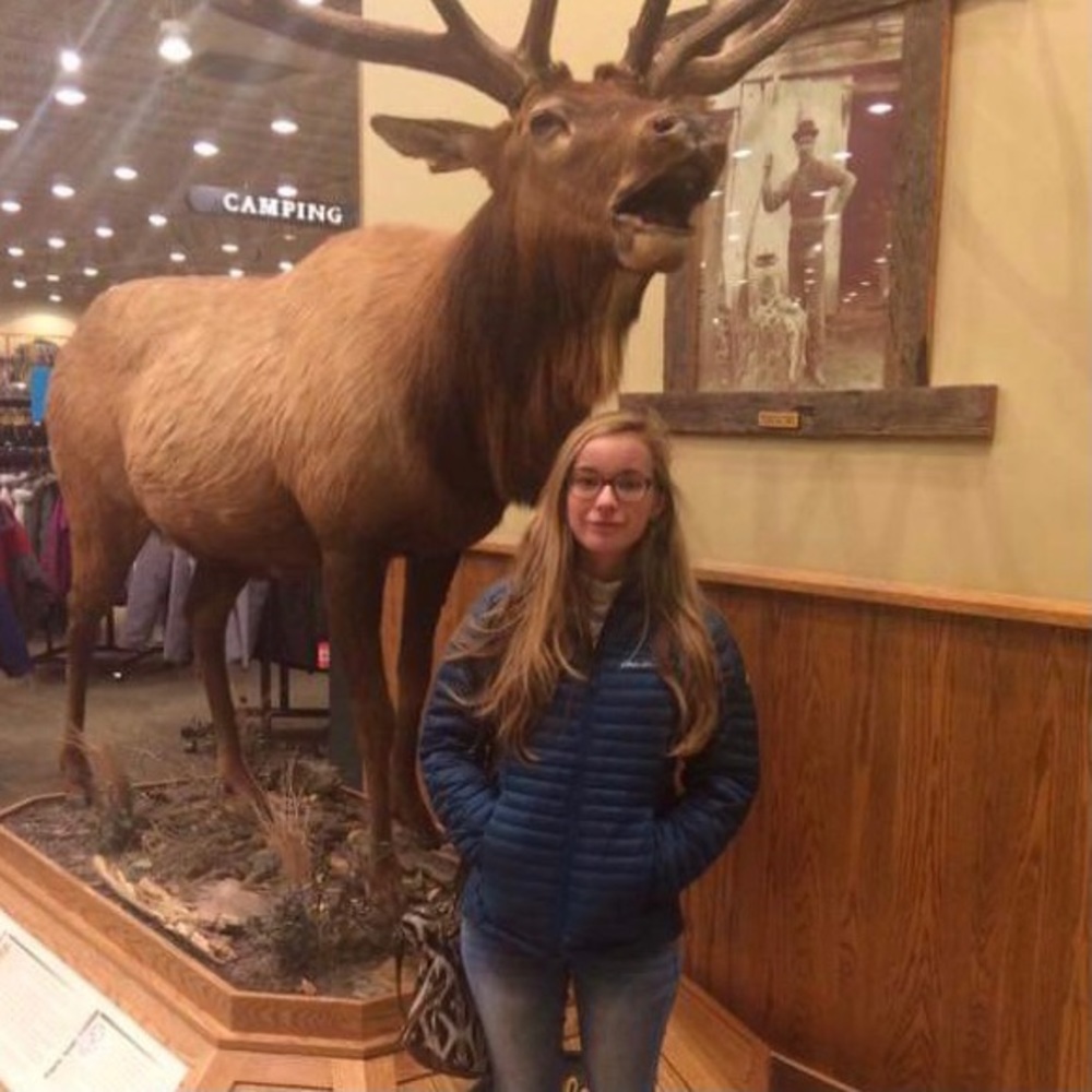 Teal Eddie Bauer puffer jacket